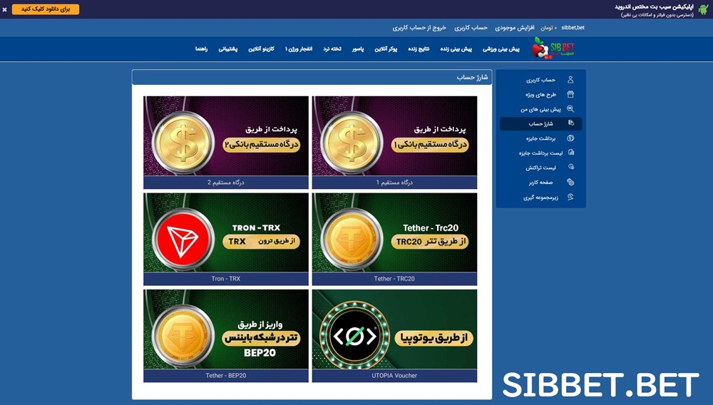 شارژ حساب در سایت سیب بت